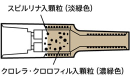 フィルター構造図