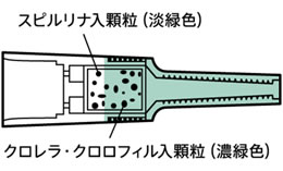 フィルター構造図